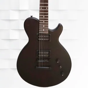 Dean EVO1000