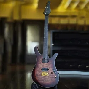 Divitone DSG10WA