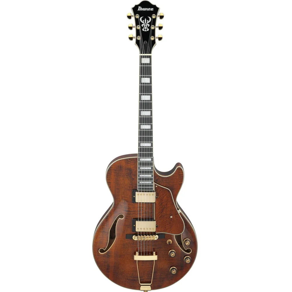 Ibanez AG95