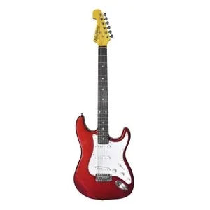Washburn WS300R